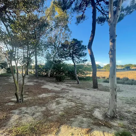 T2 Plage, Parc, Parking, 4 Pers - Fr-1-309-489 *